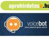 VoiceBot (Digitlis kulcs - PC)