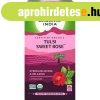 Tulsi SWEET ROSE, filteres bio tea, 25 filter - Organic Indi