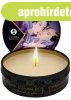 SHUNGA - Mini Caress by Candlelight Exotic Fruits Massage Ca