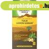 Tulsi LEMON GINGER Citrom Gymbr, filteres bio tea, 25 filt