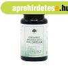 Chlorella Alga (trtt sejtfal s organikus) 60 kapszula - 