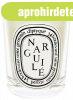 Diptyque Narguil&#xE9; - gyertya 190 g