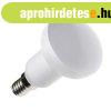 Nedes Led Izz R50 E14 5W Termszetes fehr