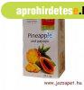 Apotheke Anansz s Papaya tea, 20 filter - Premier Selectio