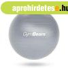 GymBeam Fitball fitness labda 65 cm szrke