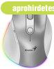 Genius Ergo 9000S Pro Wireless mouse Silver