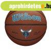 WILSON NBA TEAM COMPOSITE CHARLOTTE HORNETS BASKETBALL 7 kos