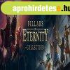 Pillars of Eternity Collection Bundle (Obsidian) (Digitlis 