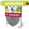 Advantix 1 db spot on 4-10 kg kztti kutyknak 1x1 ml