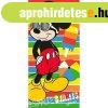 Disney Mickey Summer frdleped, strand trlkz 70x140cm