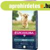 Eukanuba Adult Lamb & Rice Large kutyatp 12kg