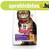 Hills Science Plan Feline Adult Sensitive Stomach & Skin