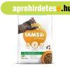 Iams Cat Adult Lamb macskatp 10kg