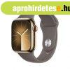Apple Watch S9 Cellular 45mm Gold Stainless Steel Case with 