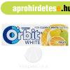 ORBIT WHITE FRUIT DRAZS 14G "R"