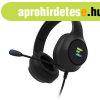 Zalman ZM-HPS310 Gaming Headset Black