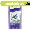 Lady Speed Stick 45g Derma+ Aloe