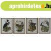 Kp DKD Home Decor madarak Keleti 45 x 3 x 60 cm (4 egysg) 