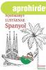 PONS Nyelvknyv lustknak - Spanyol