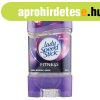 Lady Speed Stick Gl 65g Fitness