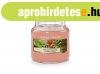 Yankee Candle Illatgyertya Classic The Last Paradise 104 g -