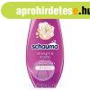 Schauma balzsam 250ml Strength&Vitality