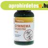 VITAKING GYMNEMA SYLVESTRE 90DB