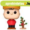 POP! TV: Charlie Brown with Tree (Peanuts)  