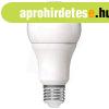 Avide ABG27WW-13W-AP led globe izz a60 13w e27 ww 3000k