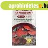 DR.CHEN SHIITAKE INST. GANODERMA TEA FIL