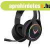 Platinet Omega Varr VH6060B Gaming RGB Headset Black