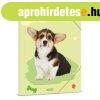 Ars Una Cuki llatok-Welsh Corgi A/4 gumis dosszi