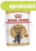 Royal Canin British Shorthair Adult 85 g