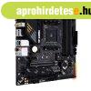 ASUS TUF GAMING B550M-PLUS