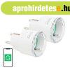 Gosund SP111 intelligens WiFi aljzat 3680W 16A, Tuya 2-pack