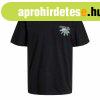 Gyermek Rvid ujj pl Jack & Jones Jortampa Back Tee S