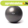 Fitness labda 55 cm - Bodhi