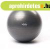 Fitness labda 65 cm - Bodhi