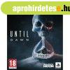 Playstation Until Dawn (PS5)