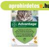 Parazitaellenes Advantage Macska Nyl 1-4 Kg 0,4 ml 6 egysg