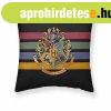 Prnahuzat Harry Potter Hogwarts Basic 50 x 50 cm MOST 13025