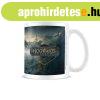 Taza Bgre Harry Potter Hogwarts Legacy: The legacy of Hogwa