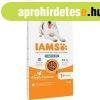 Takarmny IAMS Vitality Adult Light Csirke 12 kg MOST 33296 