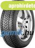 Dunlop Winter Sport 5 ( 245/40 R18 97V XL )