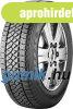 Bridgestone Blizzak W810 ( 205/75 R16C 110/108R )