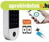 Kdos Krtys s Bluetooth Tuya APP belptet RFID-TUYA-V4-B