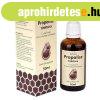 Dydex propolisz tinktra c-vitaminnal 50 ml