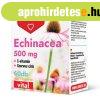 Dr. Herz Echinecea 500 mg + C-vitamin + szerves cink kapszul