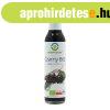 BIOFOOD FEKETEBODZA SZIRUP 250ML