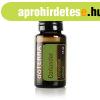 Coriander ? Koriandermag illolaj 15 ml - doTERRA